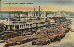 Cotton on the Levee Postcard