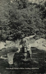 Trout Brook Fishing in Maine - Landing a Good One Postcard