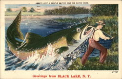 Greetings From Black Lake Postcard