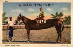 A Miami "Long Shot" Comic, Funny Postcard Postcard