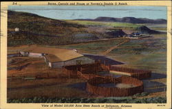 Steer Ranch at Seligman, Arizona Postcard
