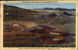 Steer Ranch at Seligman, Arizona Postcard Postcard