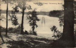 Mystic Lake Camp Michigan Postcard Postcard