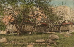 Cabins in the Orchard, Banner Lodge Postcard