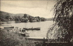 Cedar Lake Denville, NJ Postcard Postcard