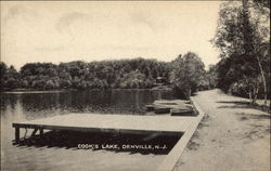 Cook's Lake Denville, NJ Postcard Postcard