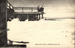Northeast Sorm Rehoboth Beach, DE Postcard Postcard