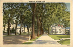 Broadway, Bangor, Maine Postcard