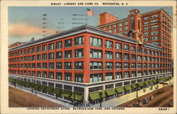 Sibley, Lindsay and Curr Co Postcard