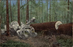 Modern Logging Tractor at Work Modern Logging Tractor at Work