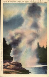 Yellowstone National Park Riverside Geyser Postcard