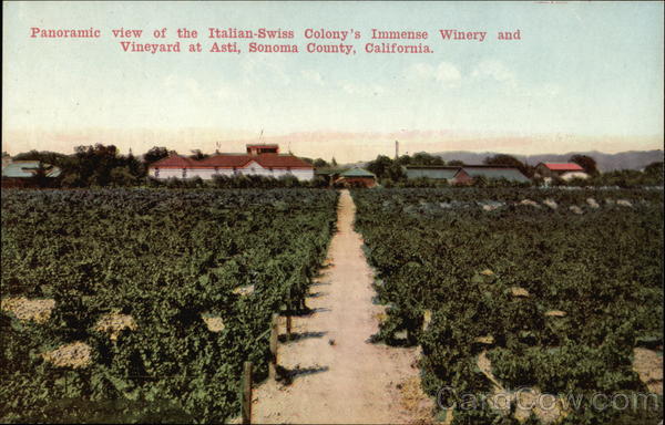 Panoramic View of the Italian-Swiss Colony's Immense Winery and Vineyard Asti California