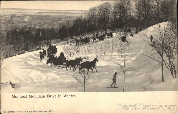 Montreal Mountain Drive in Winter PQ Canada Quebec