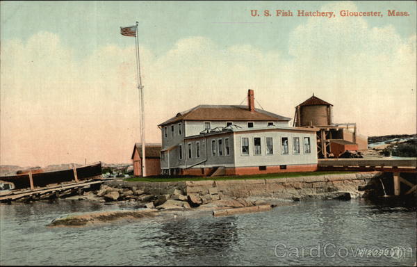 U.S. Fish Hatchery Gloucester Massachusetts