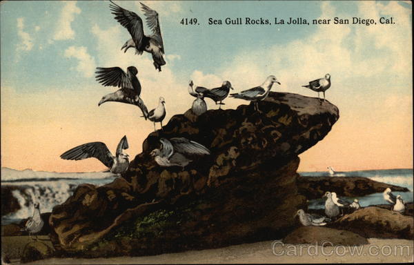 Sea Gull Rocks, La Jolla San Diego California