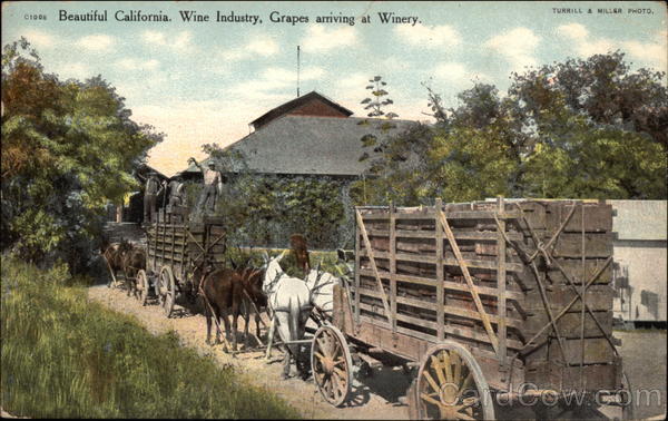 California Wine Industry