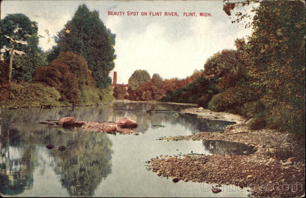 Beauty Spot on Flint River Michigan