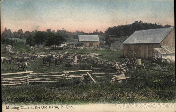 Milking Time at the Old Farm PQ Canada Quebec