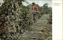 Stock #333543 Thumbnail