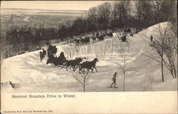 Montreal Mountain Drive in Winter Quebec Canada Postcard Postcard