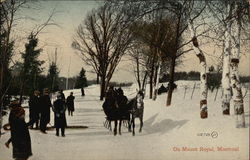 On Mount Royal Postcard