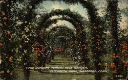 The Dorothy Perkins Rose Garden Postcard