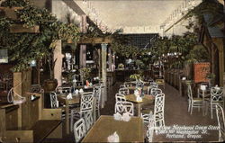 General View Hazelwood Cream Store Postcard