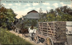 California Wine Industry Postcard