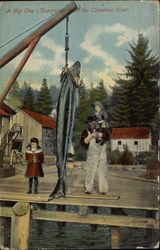 A Big One (Sturgeon) From the Columbia River Fishing Postcard Postcard