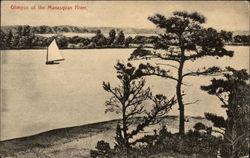 Glimpse of the Manasquan River New Jersey Postcard Postcard