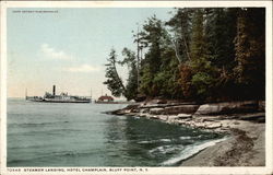 Steamer Landing, Hotel Champlain, Bluff Point Postcard