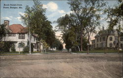 Birch Street Bangor, ME Postcard Postcard