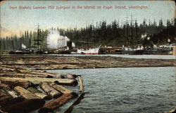 Port Blakely Lumber Mill Bainbridge Island, WA Puget Sound Postcard Postcard