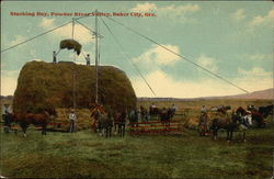 Stacking Hay, Powder River Valley Postcard