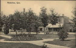 View of Park in Waterloo Postcard