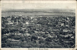 Aerial View of City From Mount Royal Postcard