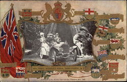 Big Tree, Stanley Park Postcard