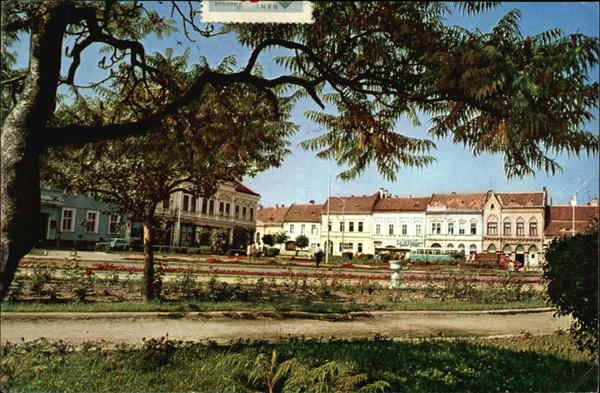 View of Town Fagaras Romania Eastern Europe
