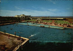 Swimmng Pool Postcard