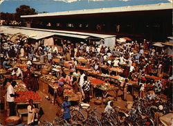 Vegetable Market Postcard
