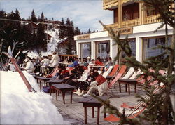 Stock #334660 Thumbnail