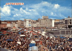 Vogelmarkt - Bird Market Postcard