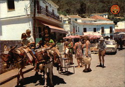 Costa del Sol Postcard