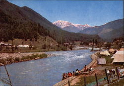 View of the River Postcard