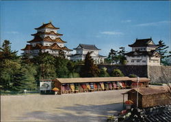 Whole View of Nagoya Castle Postcard