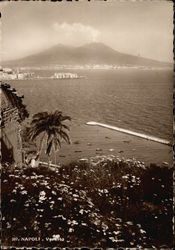 View of the Harbor Napoli, Italy Postcard Postcard