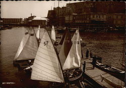 Sail Boats Postcard
