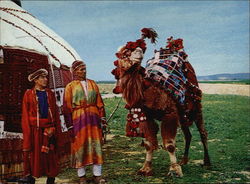 Turkoman Camel Drivers in Northern Province Postcard