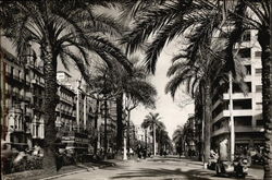 Avda. del Generalisimo Franco Postcard