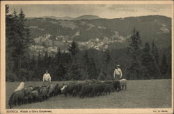 Shepherds and Flock Postcard